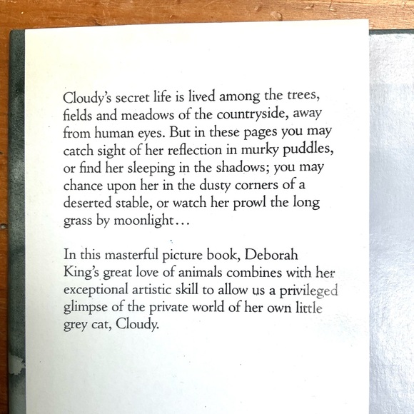 Children’s Book - “CLOUDY” - Picture 2 of 9